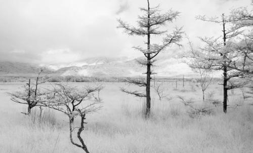 IMG_9879